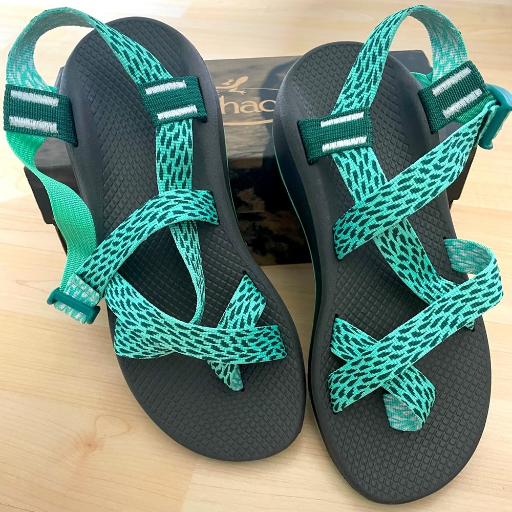NIB Chaco Z Cloud in Tidal Katydid
